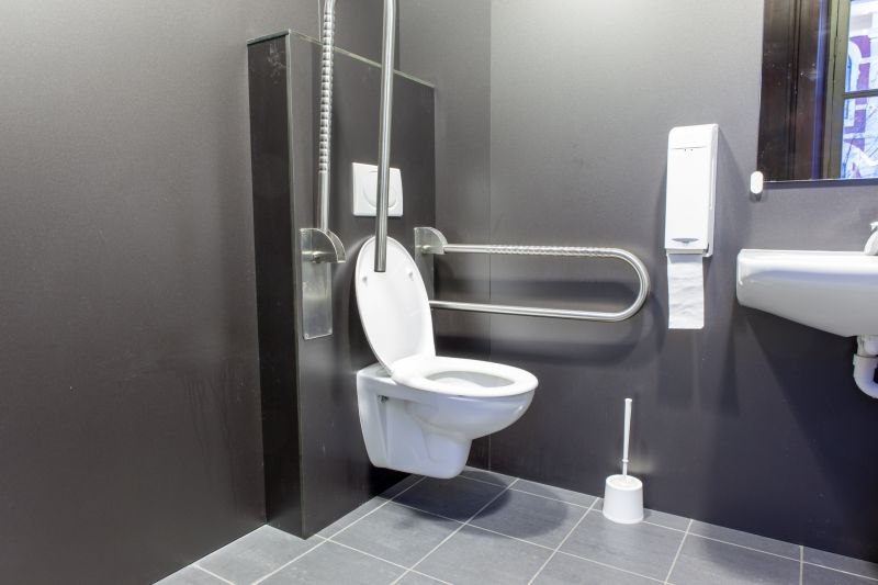 Accessible Toilet Installation